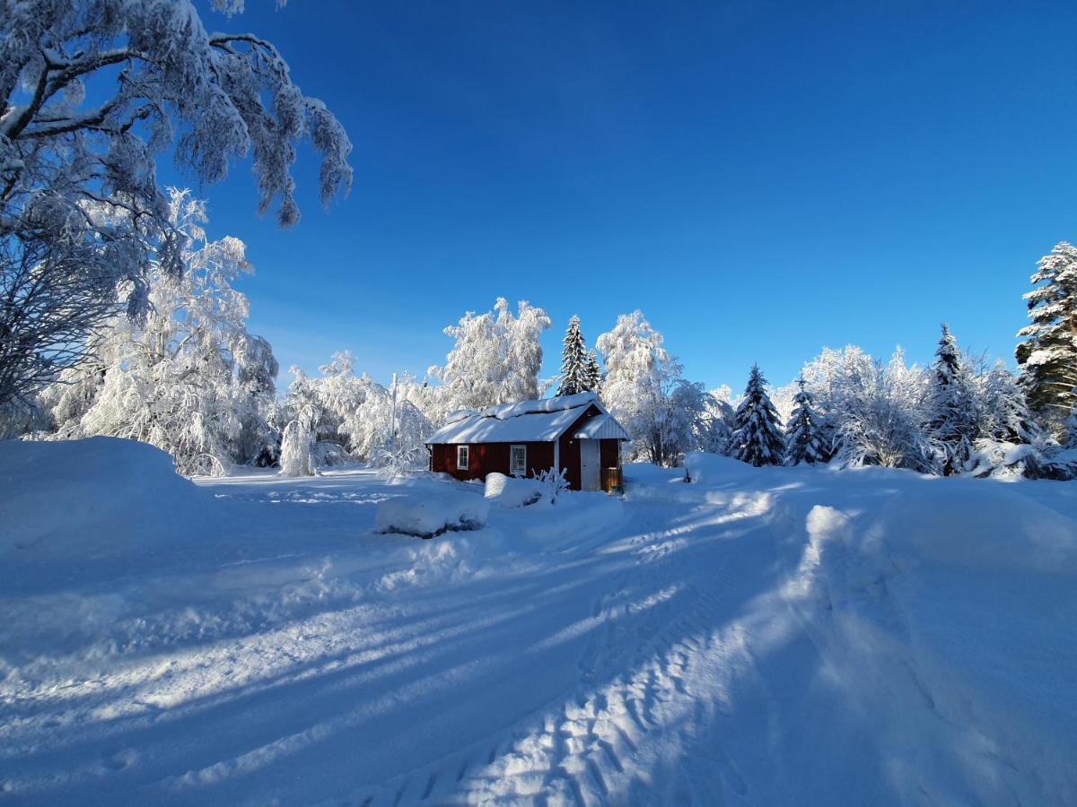 Luxury Guesthouse 'Lodge Lagom' - Hammarstrand-Jaemtland المظهر الخارجي الصورة