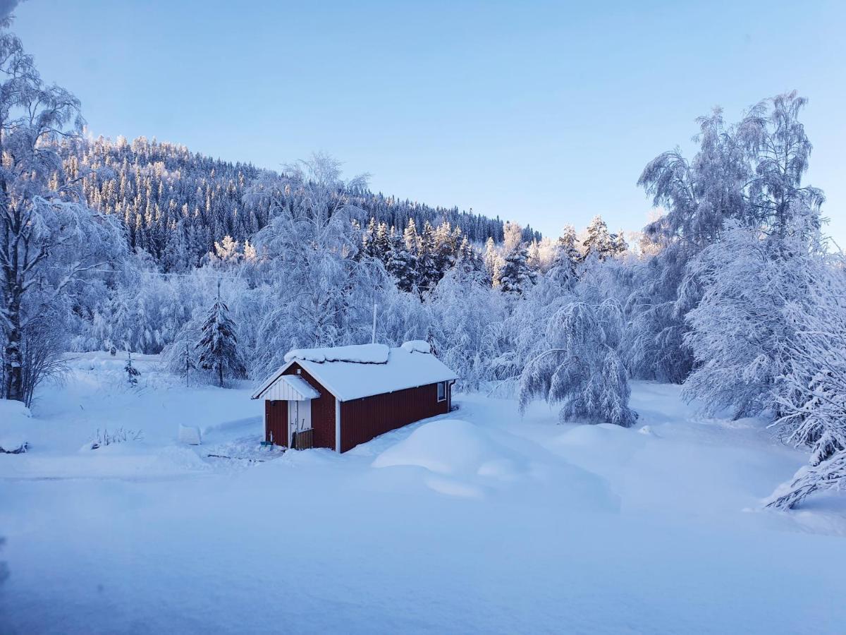 Luxury Guesthouse 'Lodge Lagom' - Hammarstrand-Jaemtland المظهر الخارجي الصورة