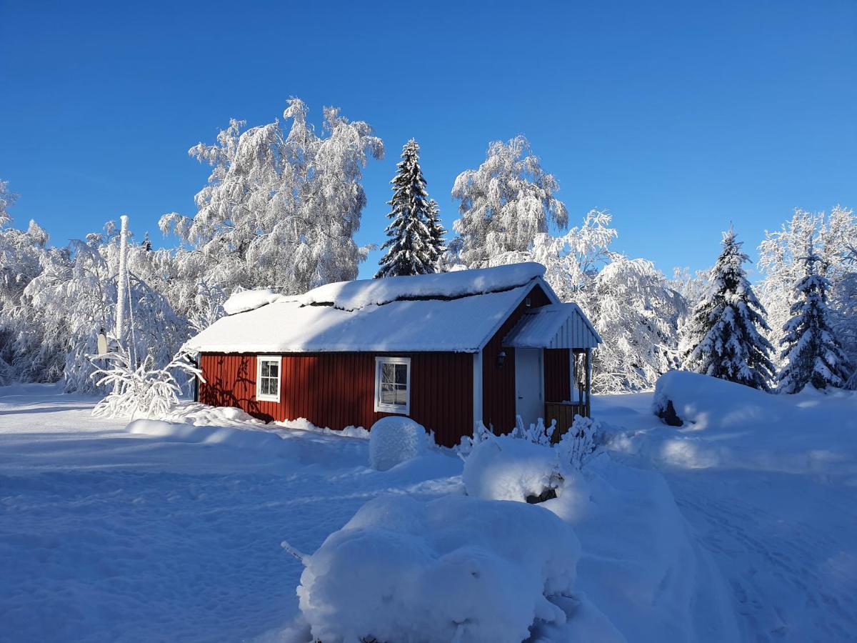 Luxury Guesthouse 'Lodge Lagom' - Hammarstrand-Jaemtland المظهر الخارجي الصورة
